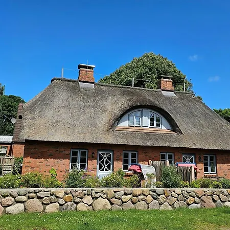 Wildrose 2 Wyk auf Föhr